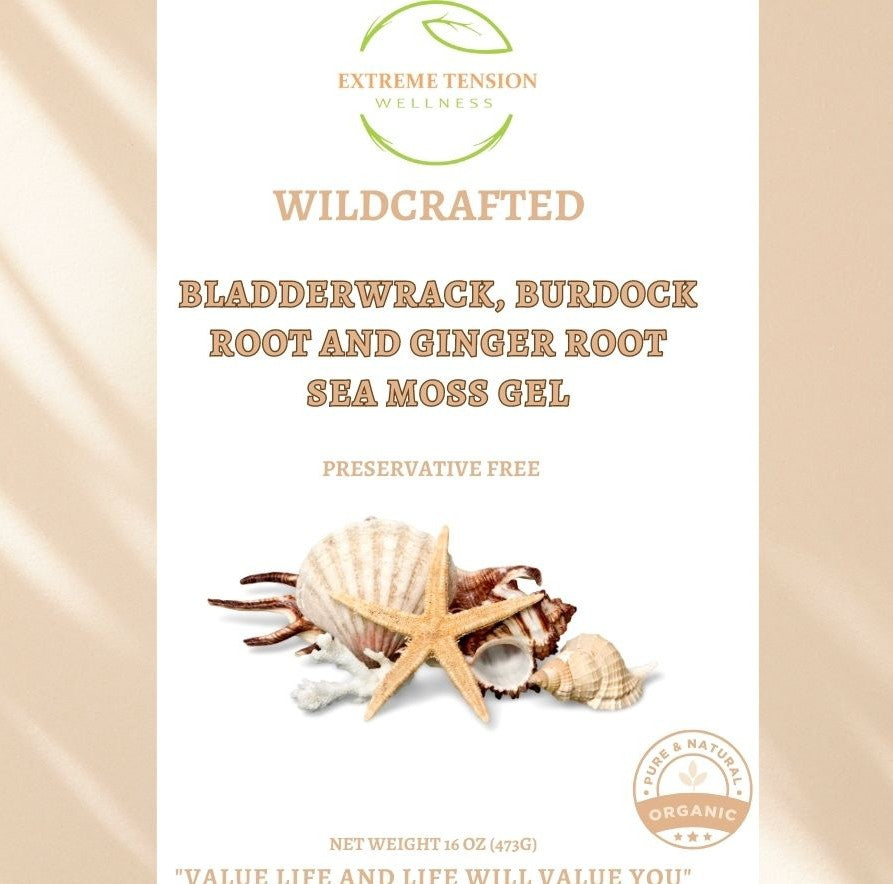 Bladderwrack, Burdock Root and Ginger Sea Moss Gel